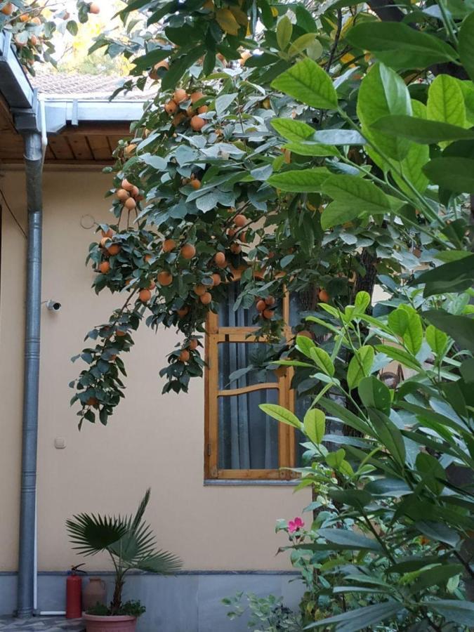 Sim Sim Hostel & Guest House Near The Church Samarcande Extérieur photo