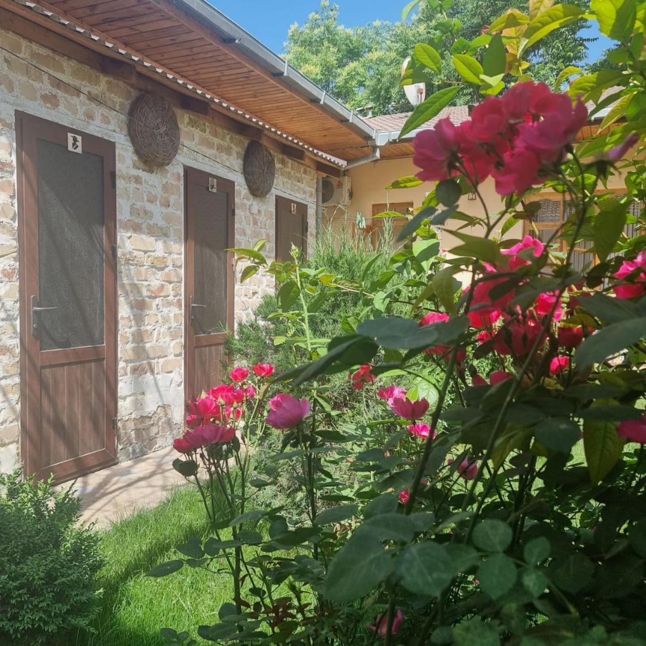 Sim Sim Hostel & Guest House Near The Church Samarcande Extérieur photo